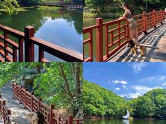 -洛阳白云山景区