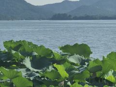 -湖畔居茶楼(湖滨店)