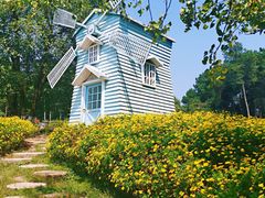 -铁山坪森林公园