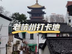 -南宋御街