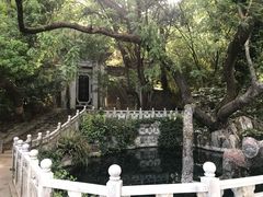 -蝴蝶泉公园