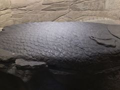 -白鹤梁水下博物馆