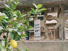-嘁嘁茶泡饭