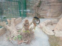 -泉州海丝野生动物世界