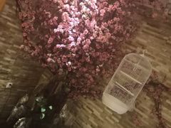 -鸥迪足道(老虎滩店)