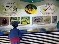 -上海昆虫博物馆