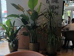 -Wagas沃歌斯(富力广场店)