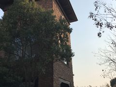 -上海崇明金茂凯悦酒店