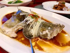 豉汁蒸桂鱼-民族饭店-四季餐厅