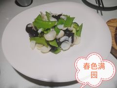 -阿西娅食府(中关村店)