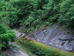 -秦岭风景区