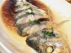 葱油野化大黄鱼-品海楼·大连海胆锅贴馆(东港店)