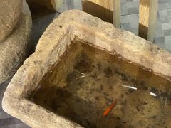 -新精武·少儿武术散打(繁花店)