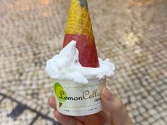 -柠檬车露(卖草地店)