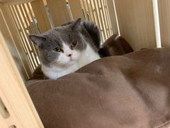 -猫和宫(六道口店)