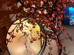 -觅唐MITONG(鸟巢店)