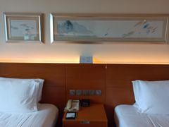 -上海浦东康桥绿地假日酒店