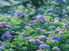 -古宇湖风景名胜区