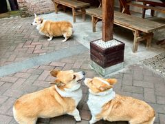 -茶米人台湾料理·精致快简餐