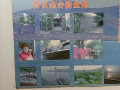 -金台阶鱼馆(于桥水库店)