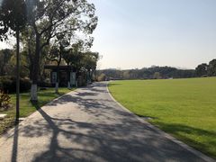 -昆山城市生态森林公园