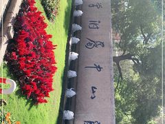 -复旦大学附属中山医院(西院区)