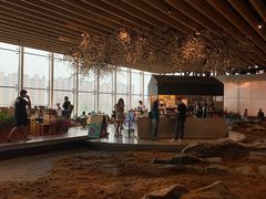 -Seesaw Coffee(朝阳大悦城店)