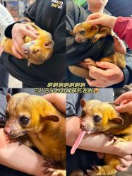 -Zoolung Zoolung动物主题公园(海信广场店)