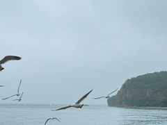 -棒棰岛宾馆景区