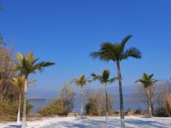 -熊氏牛羊杂粉(龙眼井总店)