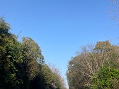 -动邦皮划艇·桨板·独木舟·团建户外运动俱乐部