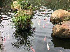 景观位-花果山庄•现烤荔枝柴烧鹅