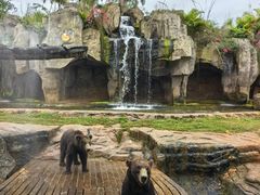 -海南热带野生动植物园