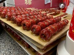 -和禄德冰糖葫芦