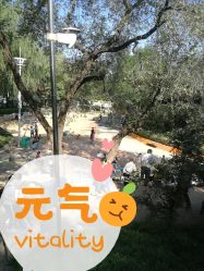 -酷酷兔少儿拓展天地