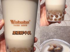 -娃哈哈·奶茶(武林店)