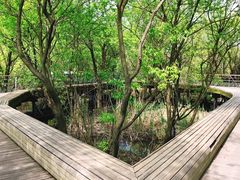 -西湖风景区-江洋畈生态公园