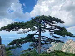 -黄山风景区