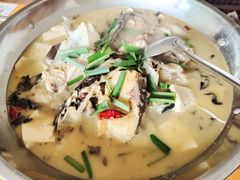 -史记安仁鱼头(浙闽赣食用菌交易中心店)