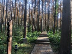 -上海怡沁园度假酒店