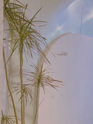 -杨益美学·野生眉半永久纹眉发际线