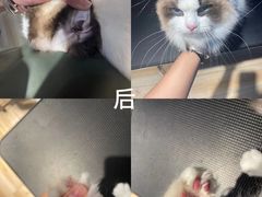 -听TA说宠咖·宠物生活馆(天韵水岸店)