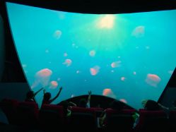 -飞览天下沉浸式飞行体验(北京旗舰店)