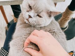 -小时光咖啡馆(北锣鼓巷店)