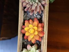 -苗湘食府(十年店)