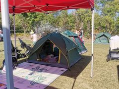 -春花秋色城市公园