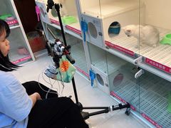 -lincat·猫舍(广州店)