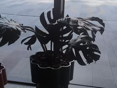 -海泰食府·新鲁菜·家宴(总部基地店)