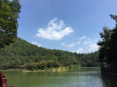 -广州白江湖森林公园