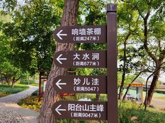 -阳台山自然风景区